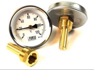 Räucherthermometer zur Temperaturkontrolle im Räucherofen für Fisch und Fleisch