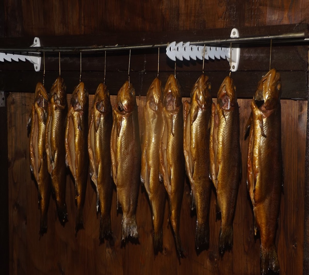 Geräucherte Forellen im Räucherofen – goldbraun hängend beim Heißräuchern