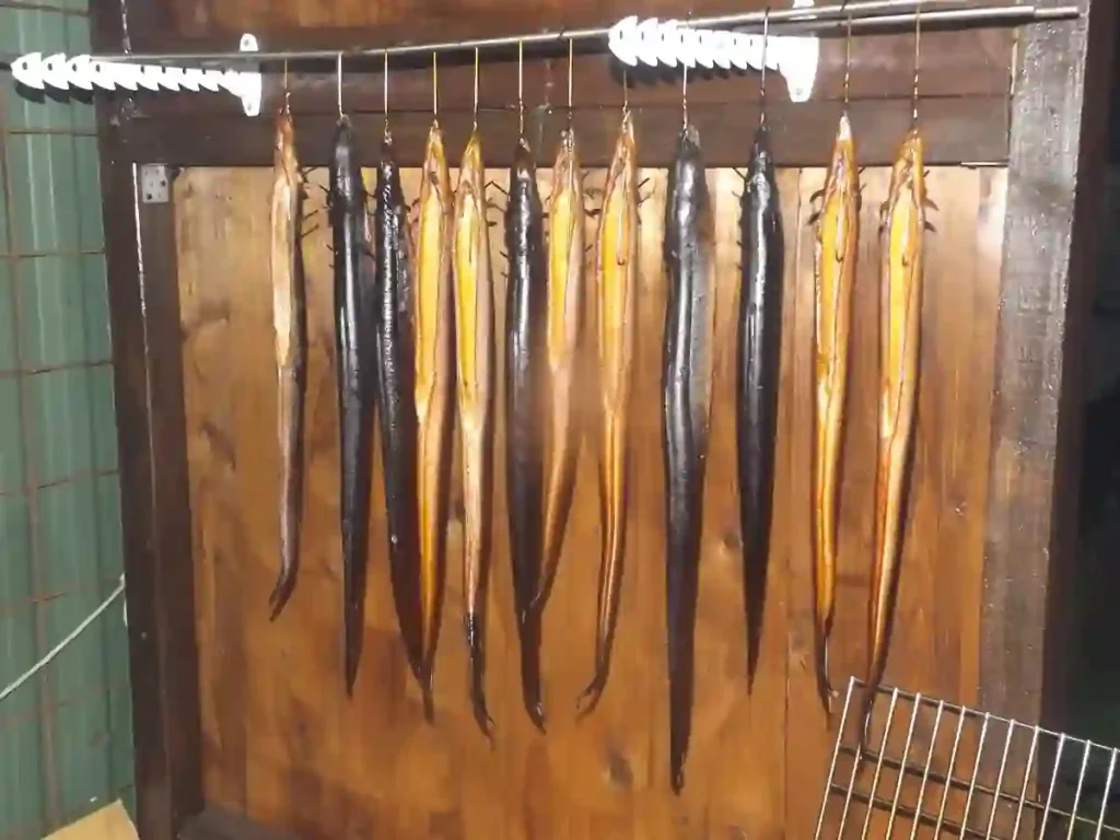 Geräucherte Aale hängend im traditionellen Holzräucherofen